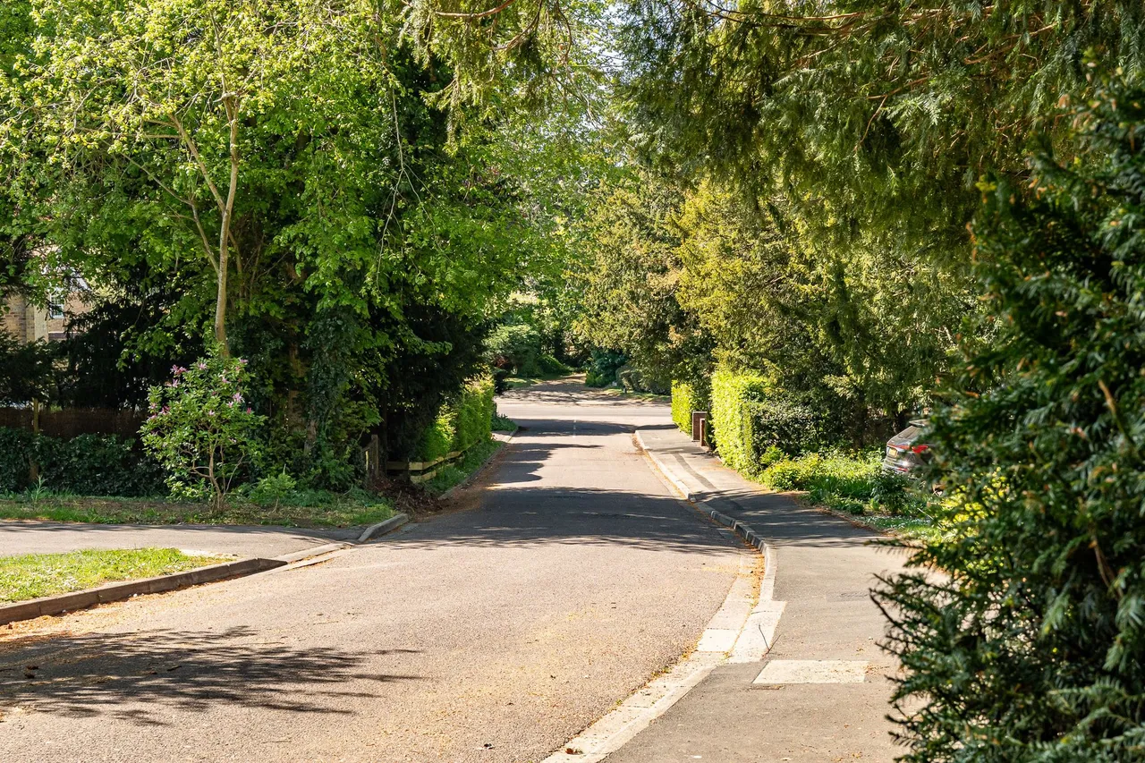 Pearman Drive, Dane End, SG12, photo 19