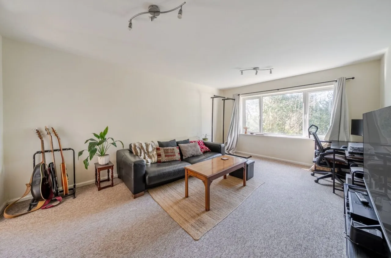Graham Road, Sheffield, S10, photo 6