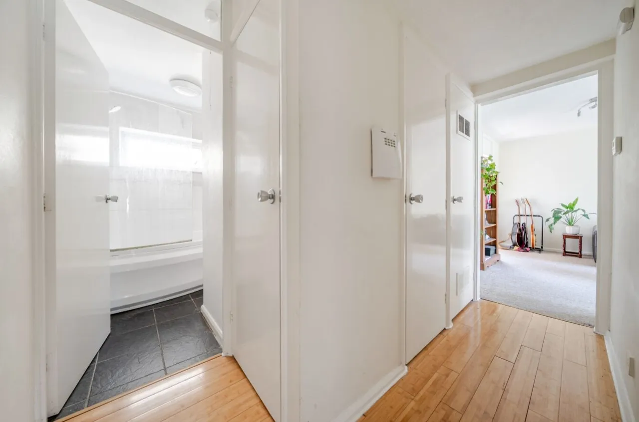 Graham Road, Sheffield, S10, photo 5