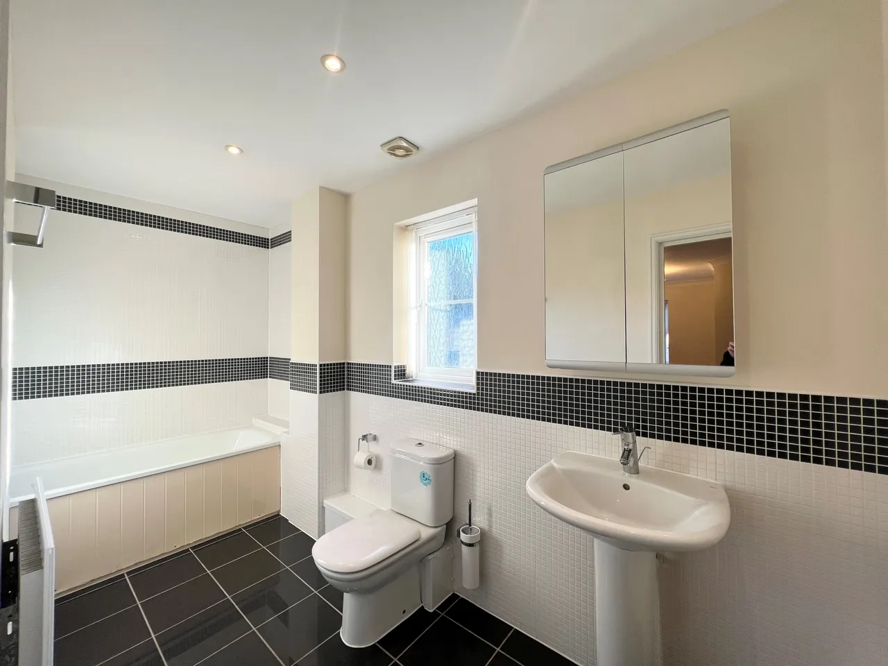 Thistle Way, Red Lodge, BURY ST. EDMUNDS, photo 8