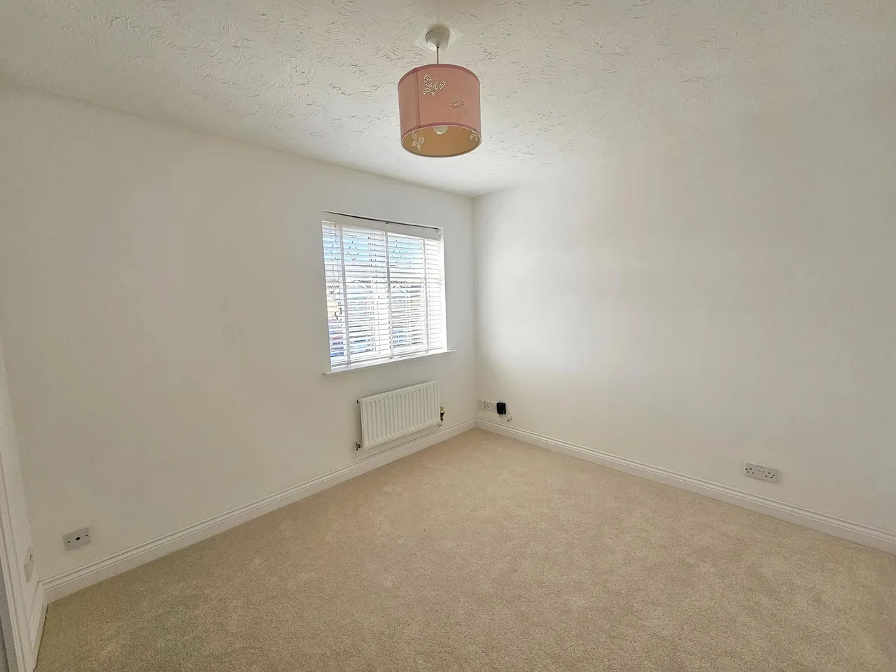 Riverstone Way, Hunsbury Meadows, NN4, photo 9