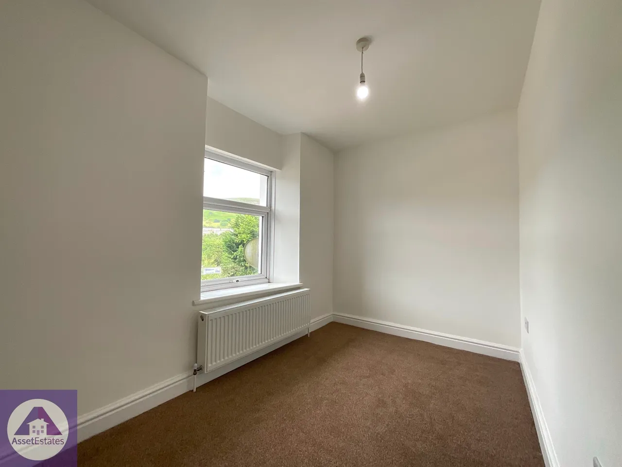Mount Pleasant, Blaina, photo 11