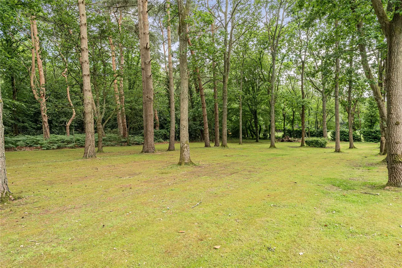 Crooksbury Road, Farnham, GU10, photo 20