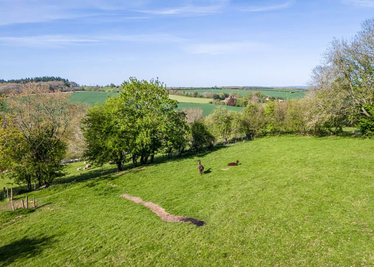 Britons Lane, Linley Brook, WV16, photo 27