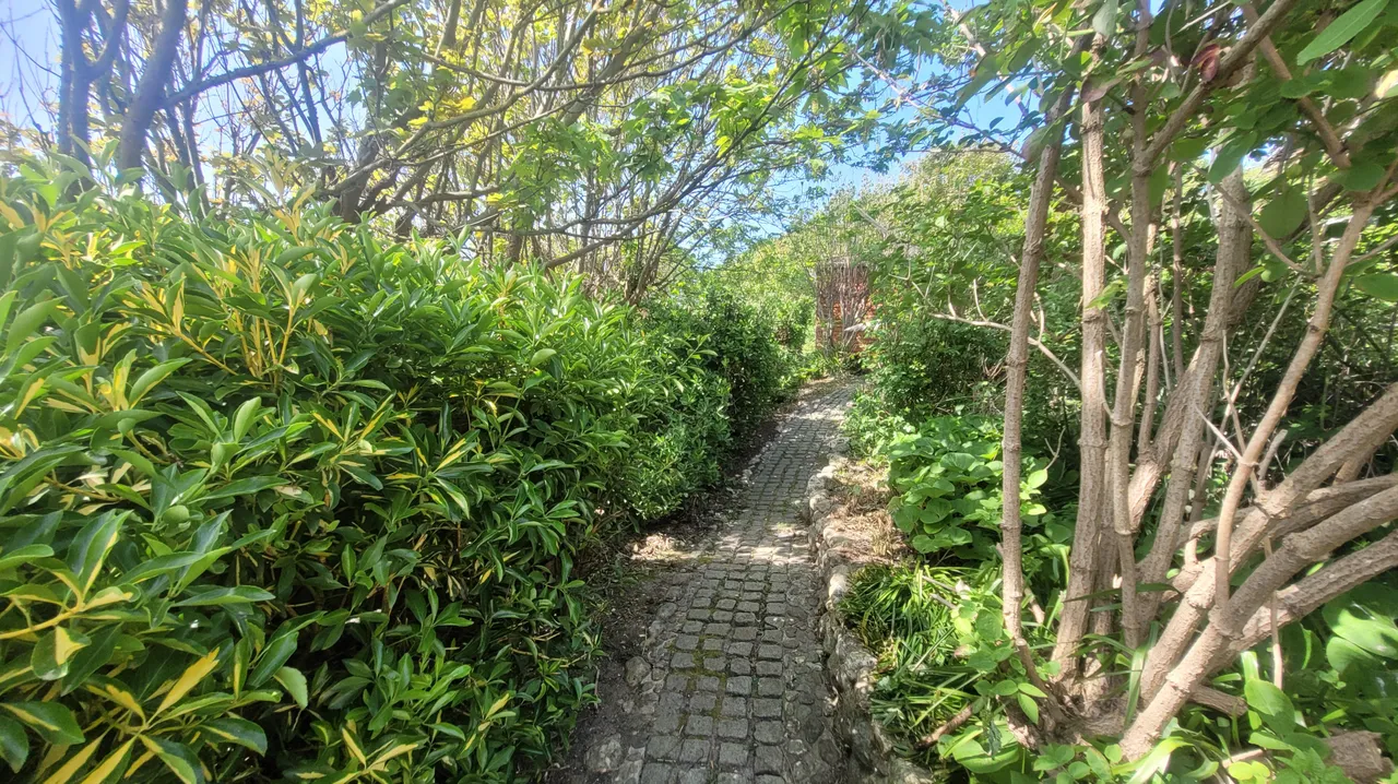 Bonchurch, PO38, photo 5