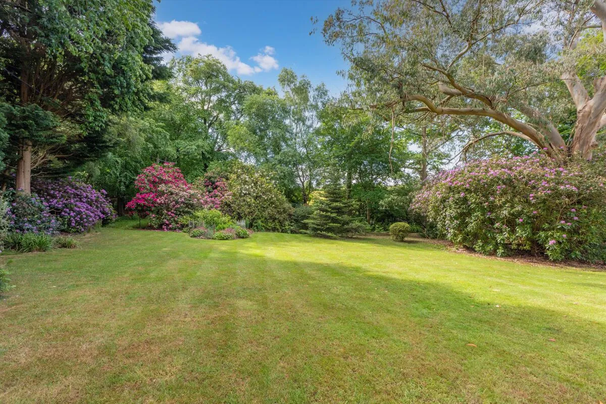 Busgrove Lane, Henley-on-Thames, RG9, photo 33