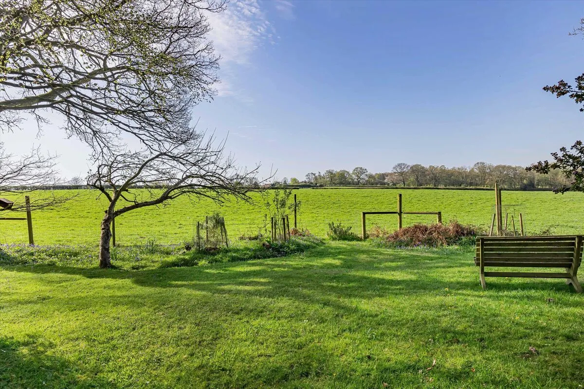 Busgrove Lane, Henley-on-Thames, RG9, photo 27