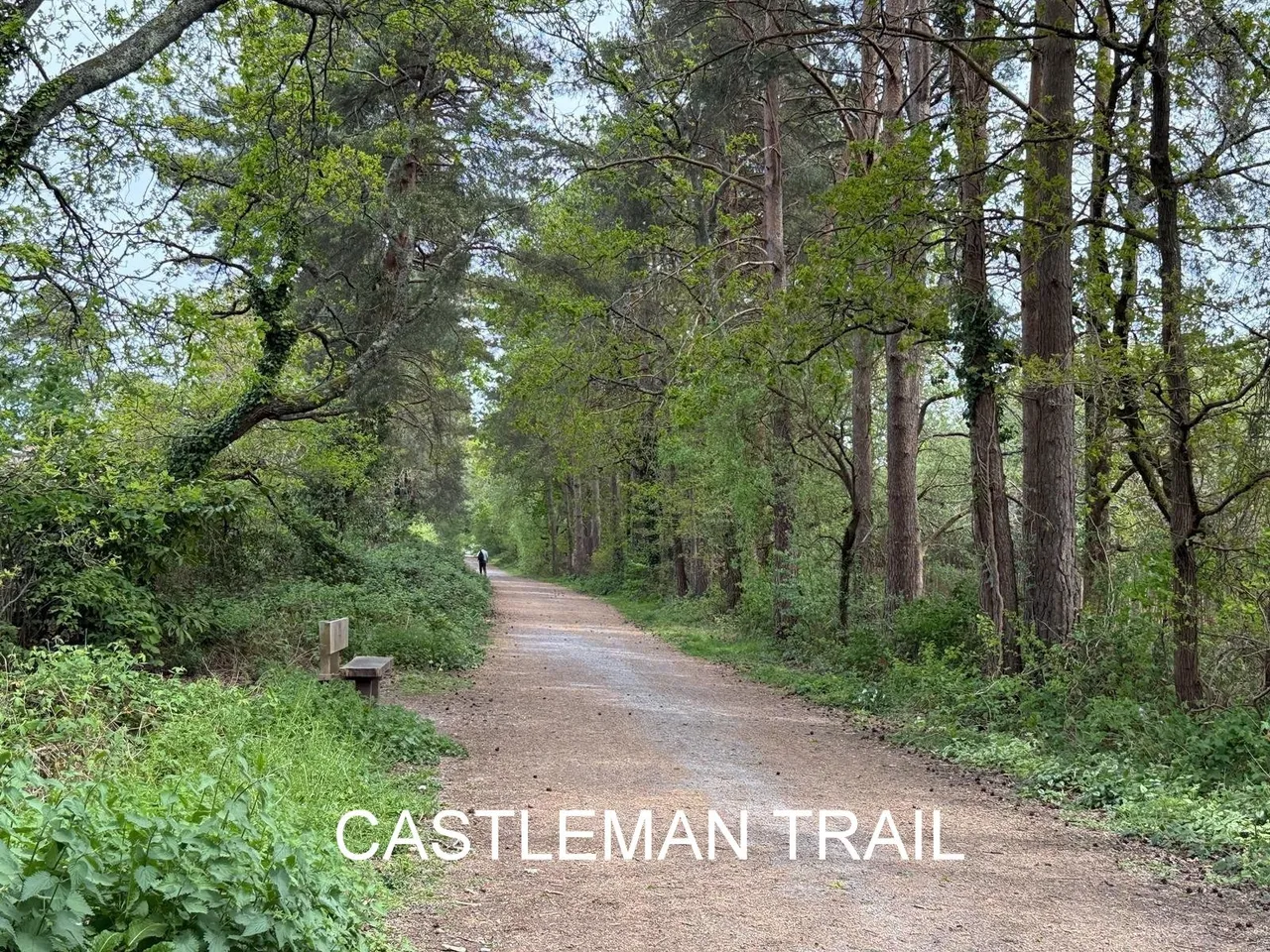 Forest Edge Close, Ashley Heath, BH24, photo 24