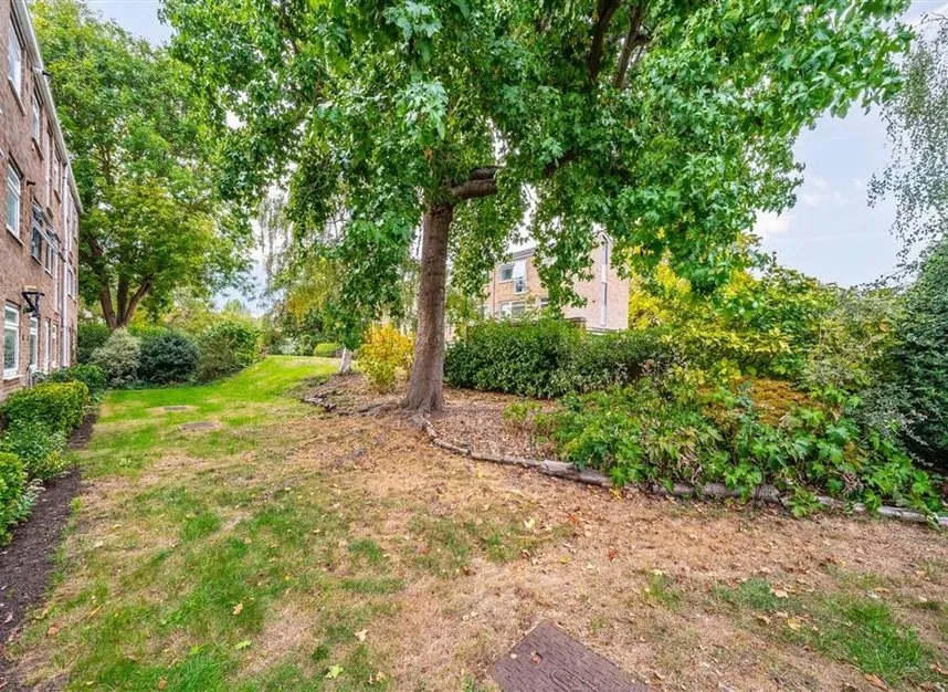 Harrowdene Gardens, Teddington, TW11, photo 5