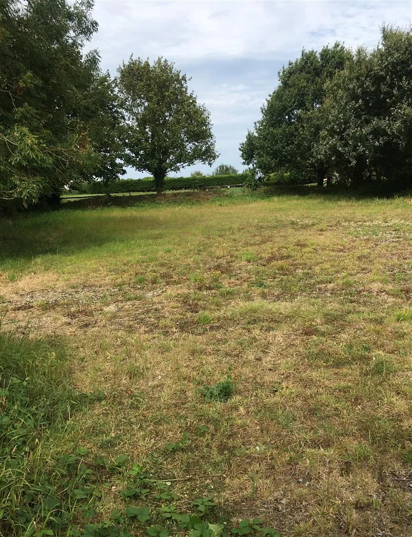 Holmpton, photo 15