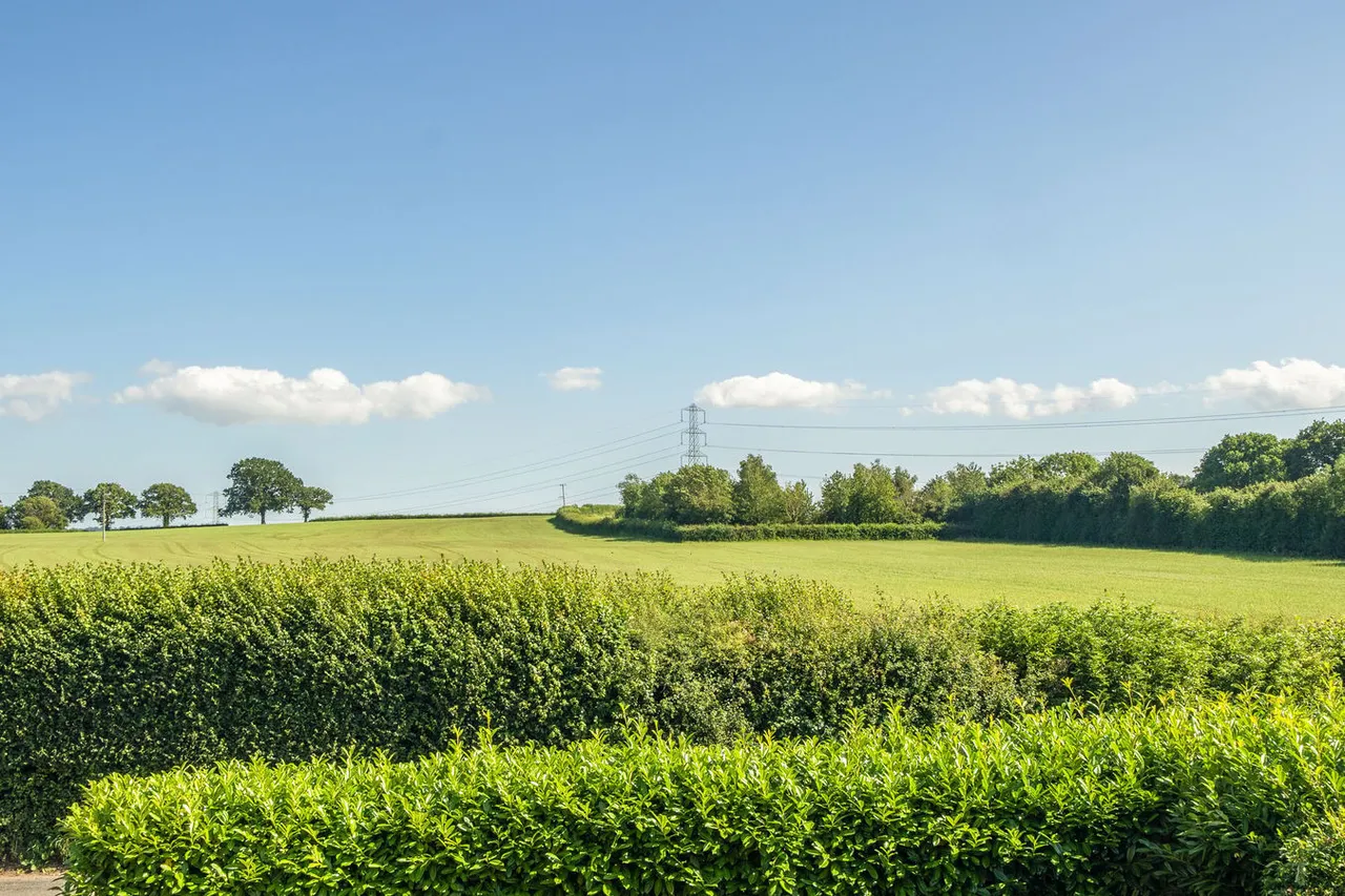 Coxley, Wells, BA5, photo 28