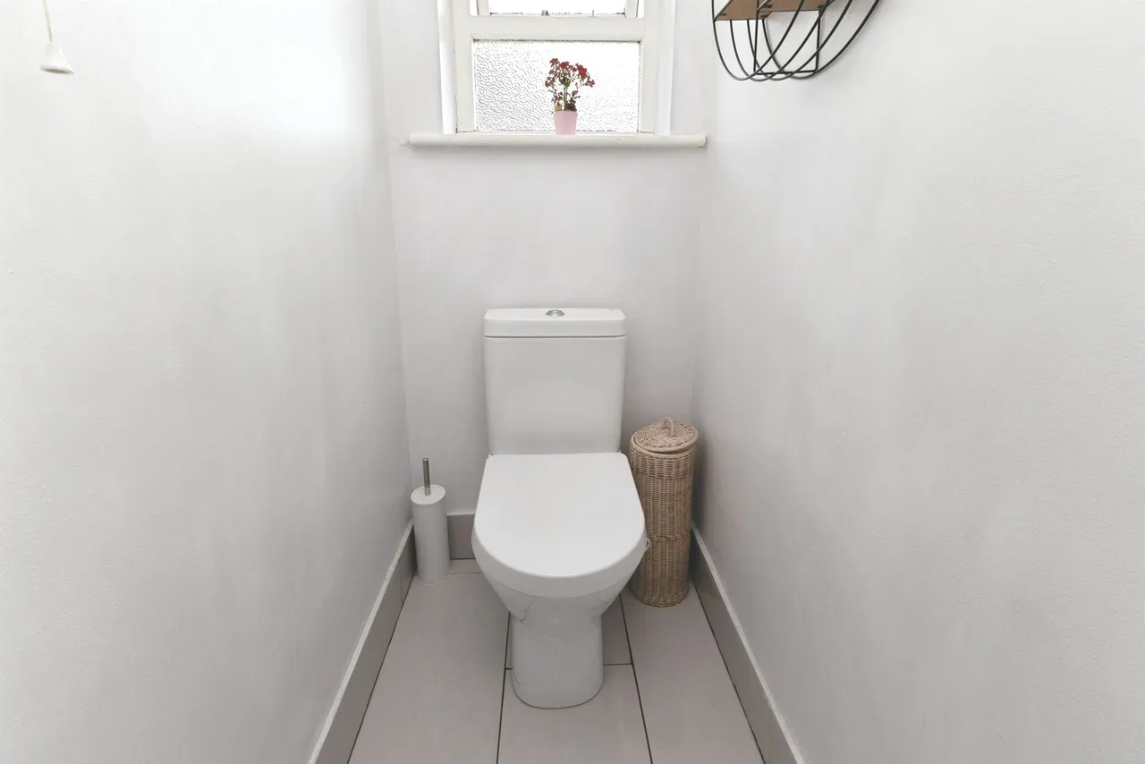 Bentinck Avenue, Middlesbrough, TS5, photo 14