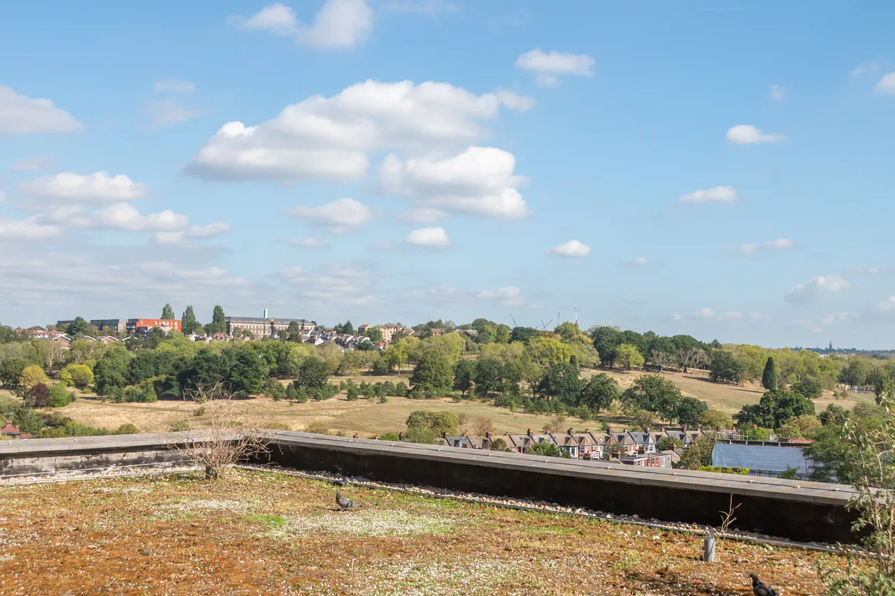 London, NW10, photo 6