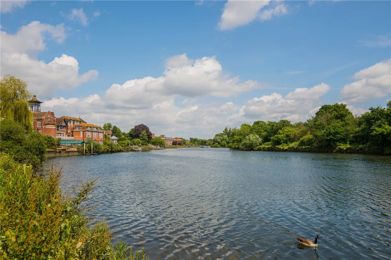 King Street, Twickenham, TW1, photo 12