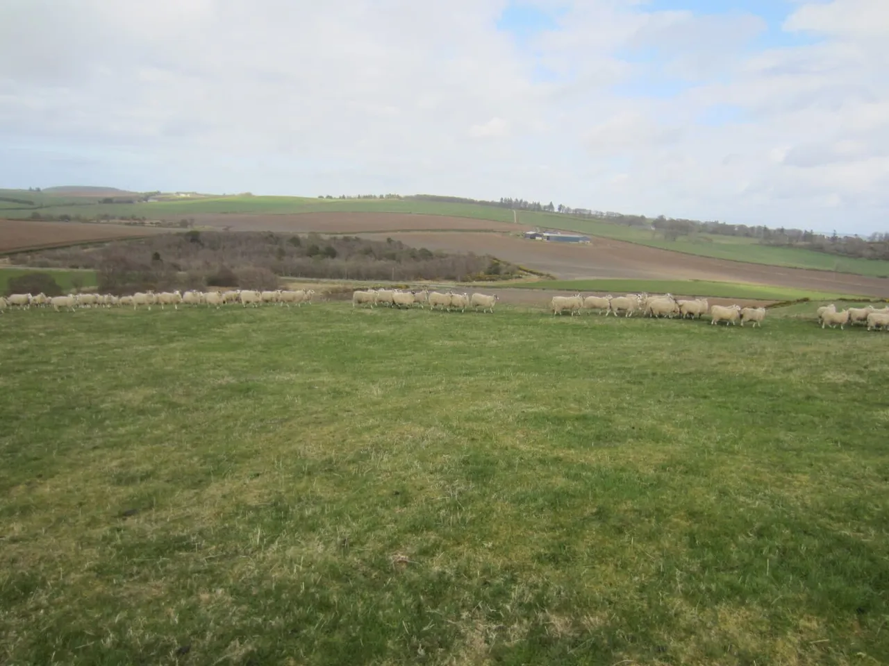 Land At Knockorth, Aberchirder, Huntly, Aberdeenshire, AB53 4GN, photo 7