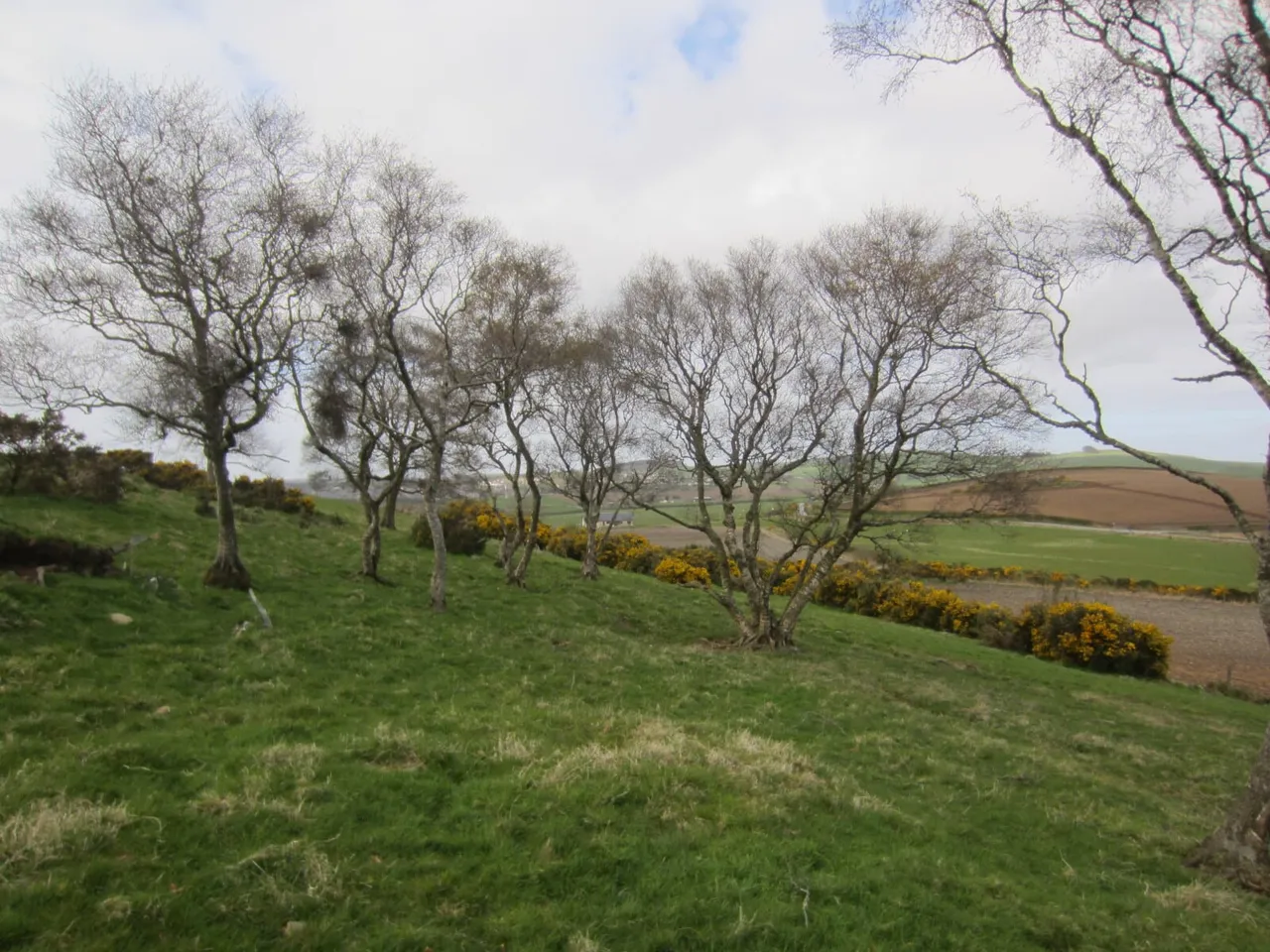 Land At Knockorth, Aberchirder, Huntly, Aberdeenshire, AB53 4GN, photo 4