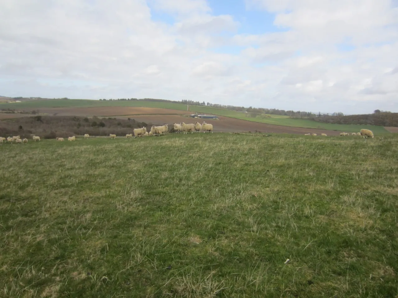 Land At Knockorth, Aberchirder, Huntly, Aberdeenshire, AB53 4GN, photo 3