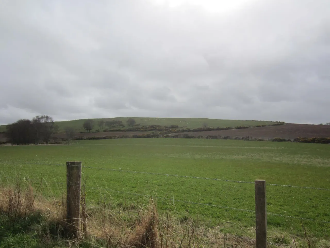 Land At Knockorth, Aberchirder, Huntly, Aberdeenshire, AB53 4GN, photo 9