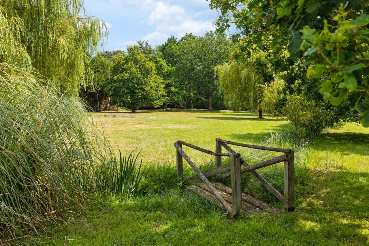 Goose Rye Road, Worplesdon, Guildford, GU3 3RJ, photo 8