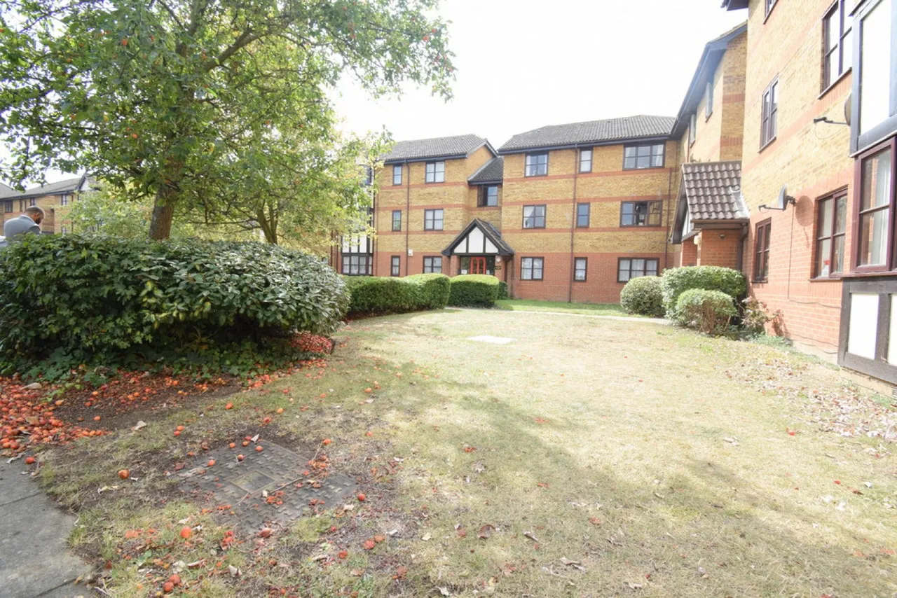 Redwood Grove, Bedford, photo 3