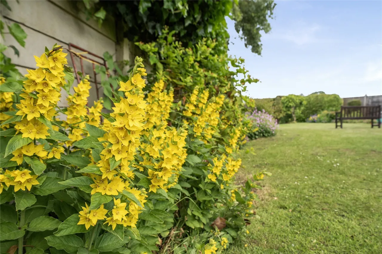 Malan Close, Westerham, Kent, TN16, photo 20