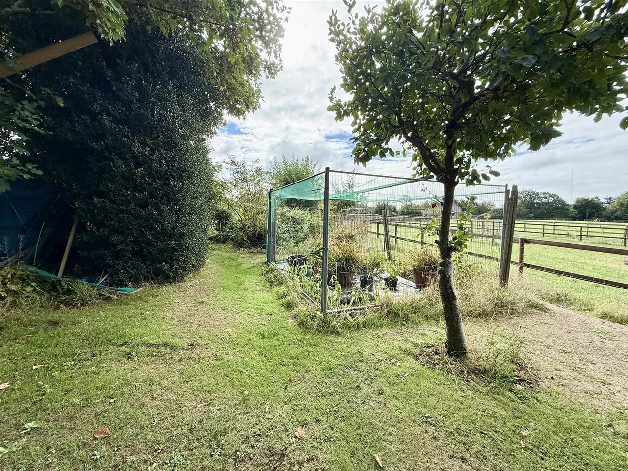 Harvester Drive, Fareham, photo 15