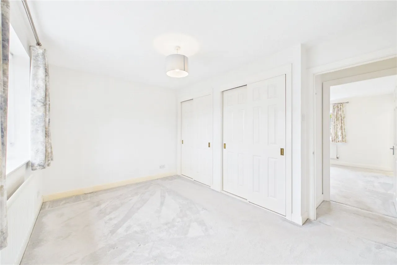 Taylor Drive, Bramley, RG26, photo 16
