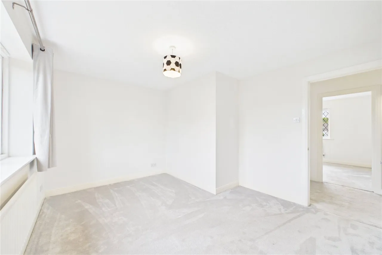 Taylor Drive, Bramley, RG26, photo 13