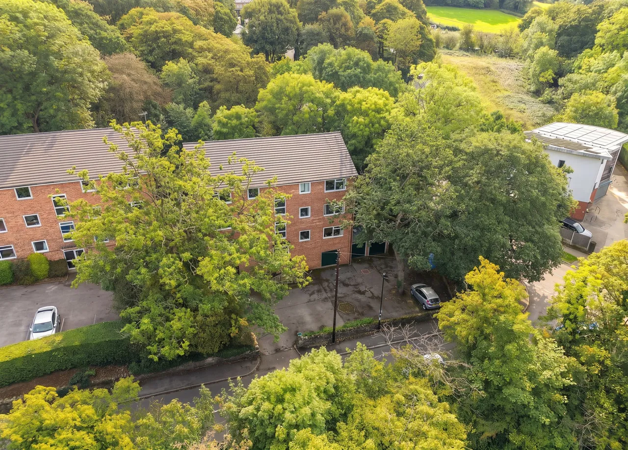 Queen Victoria Road, Sheffield, S17, photo 18