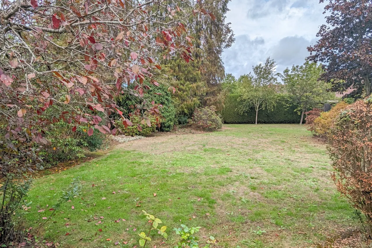 Waverley Lane, Farnham, GU9, photo 14