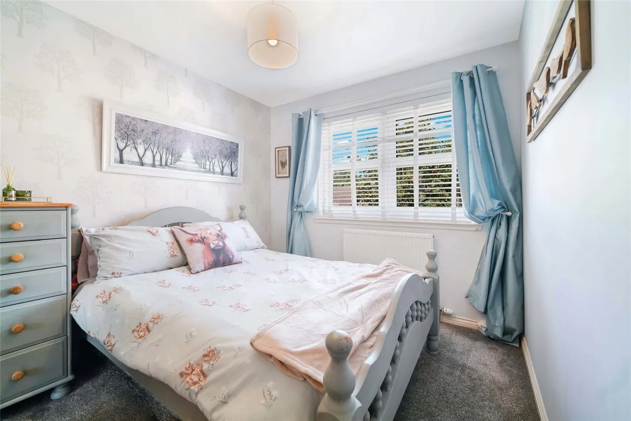 Skylands Rise, Hamilton, South Lanarkshire, ML3, photo 18