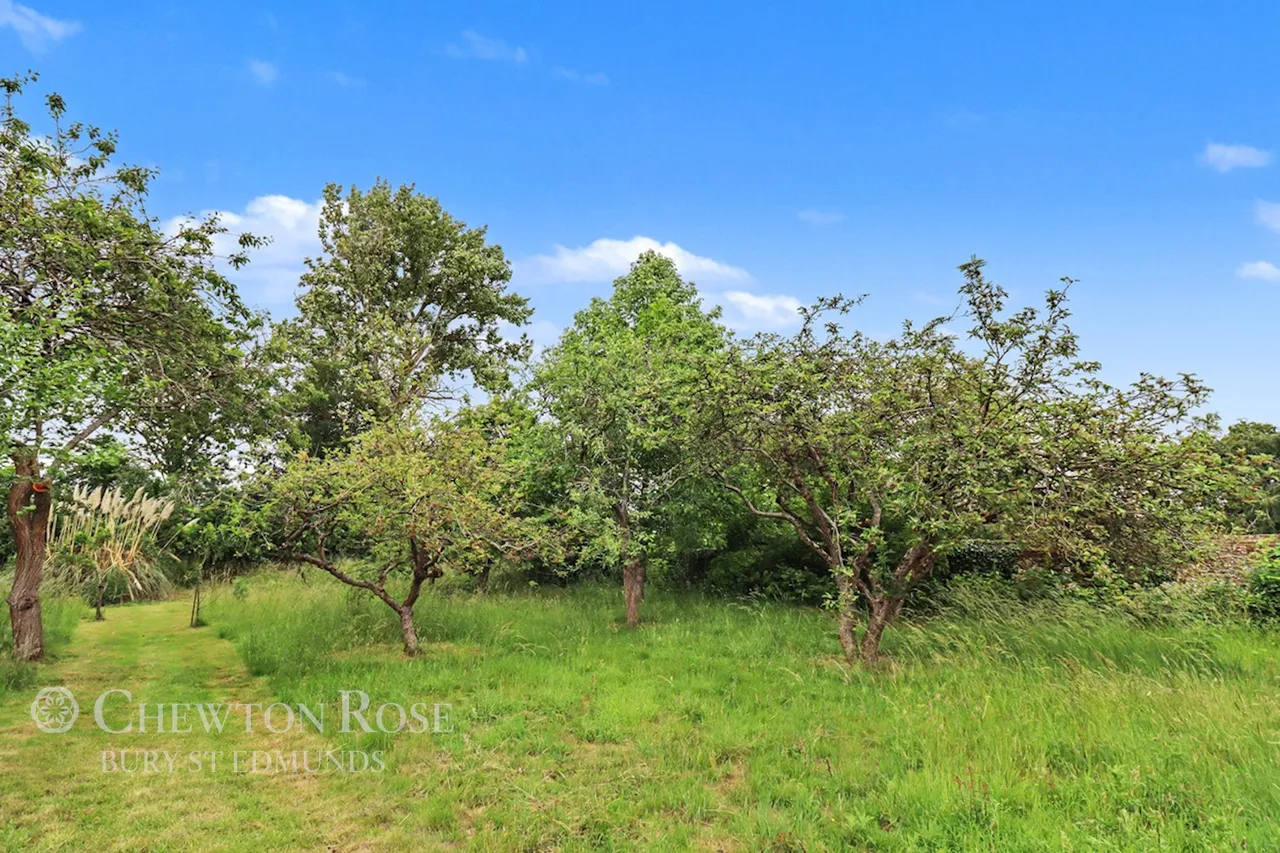 Cavendish, Sudbury, photo 31