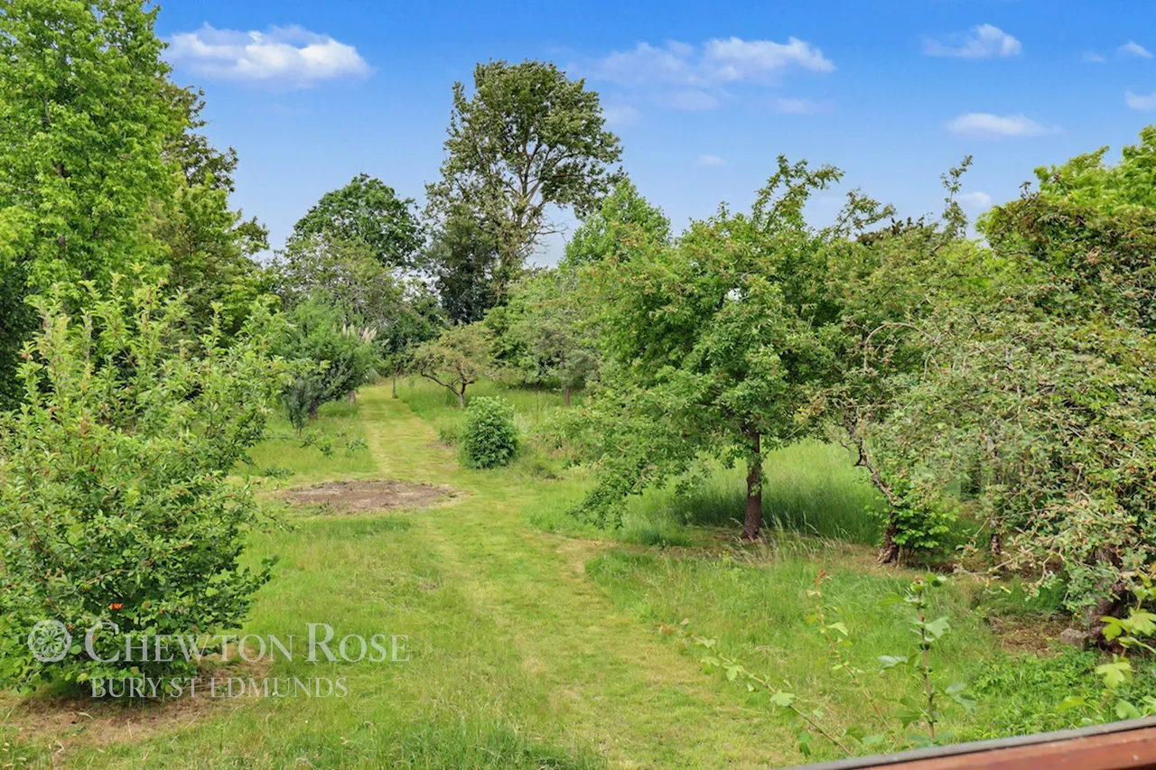 Cavendish, Sudbury, photo 17