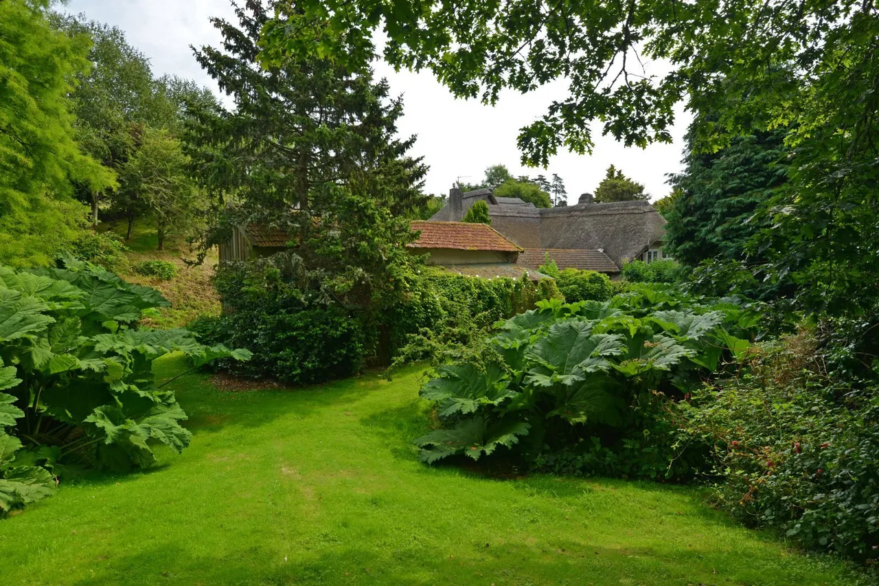 Teign Valley, Dunsford, EX6, photo 13