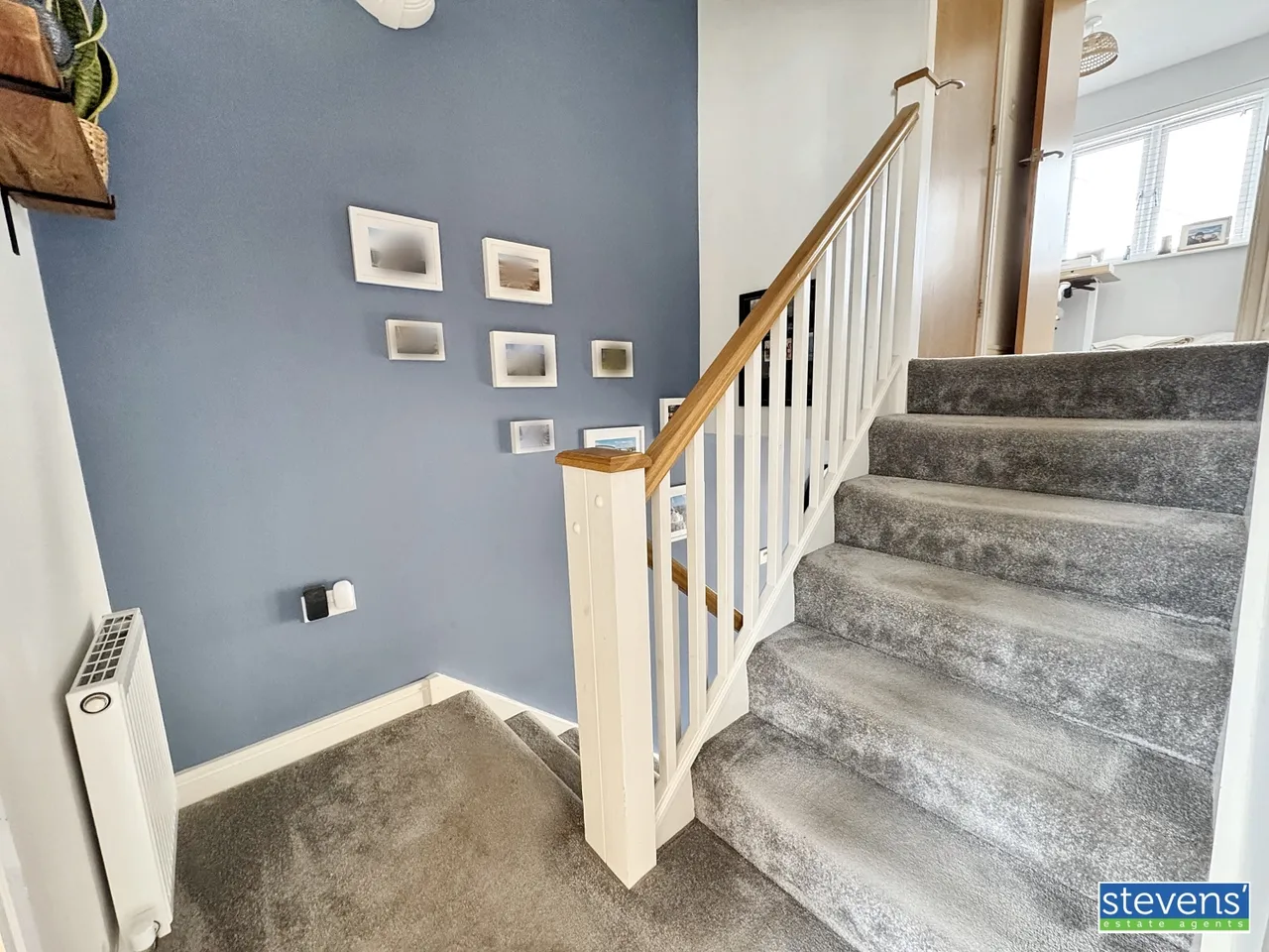Broom Park, Okehampton, EX20, photo 13