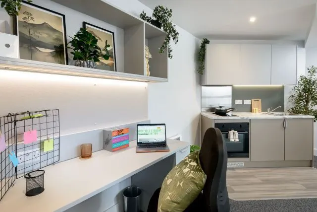 True Superior Studio, True Sheffield, 12 Tenter Street, Sheffield, S1 4XF, photo 7