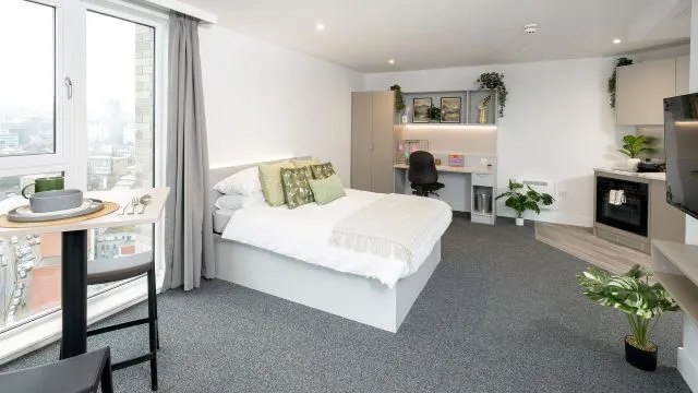 True Superior Studio, True Sheffield, 12 Tenter Street, Sheffield, S1 4XF, photo 6