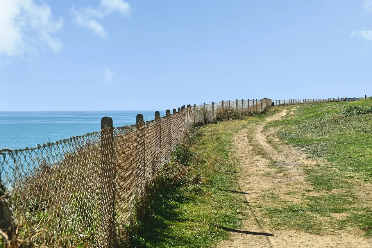 Cliff Avenue, Peacehaven, BN10, photo 21