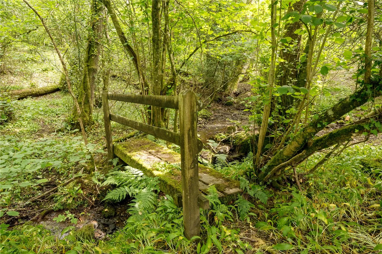 Leigh upon Mendip, Radstock, photo 20
