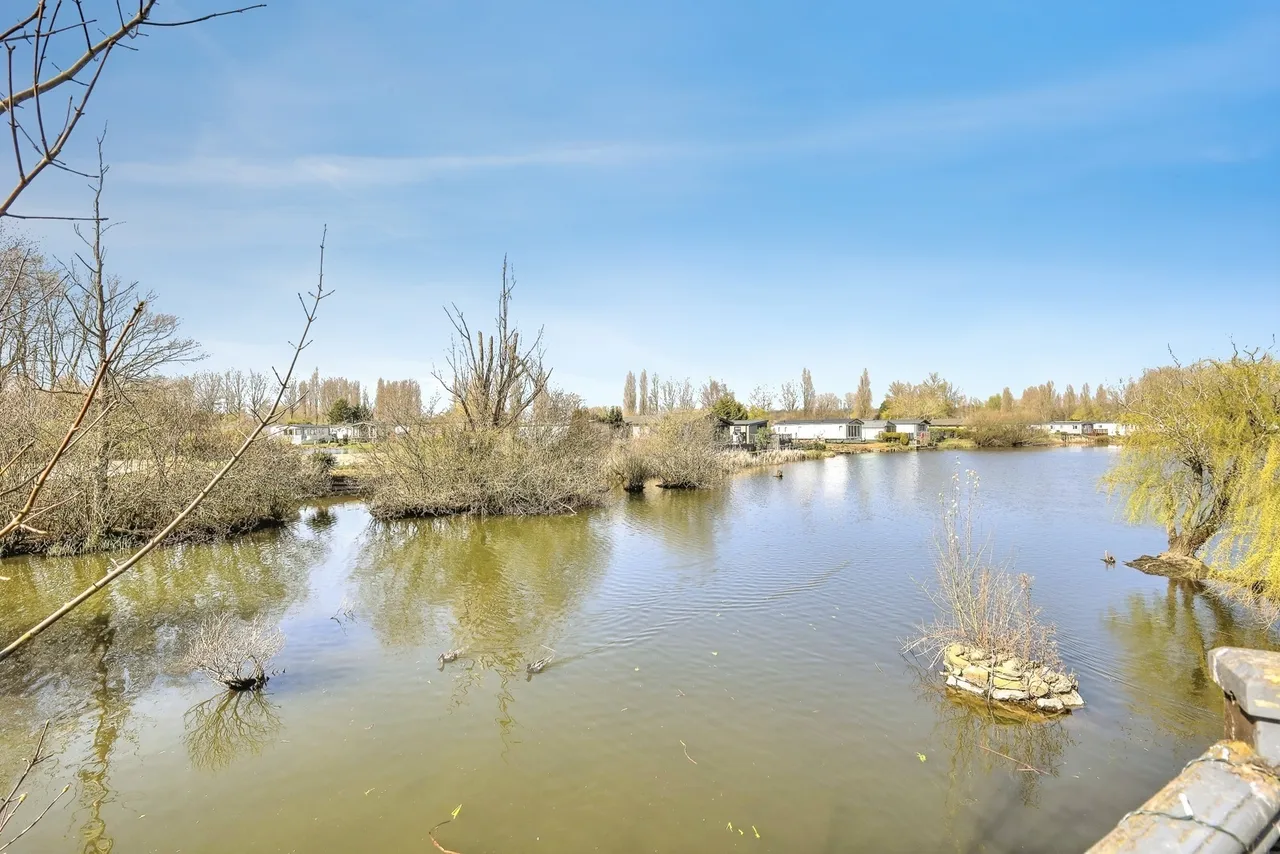 Goose Island, Billing Aquadrome, Northampton, Northamptonshire, NN3, photo 2