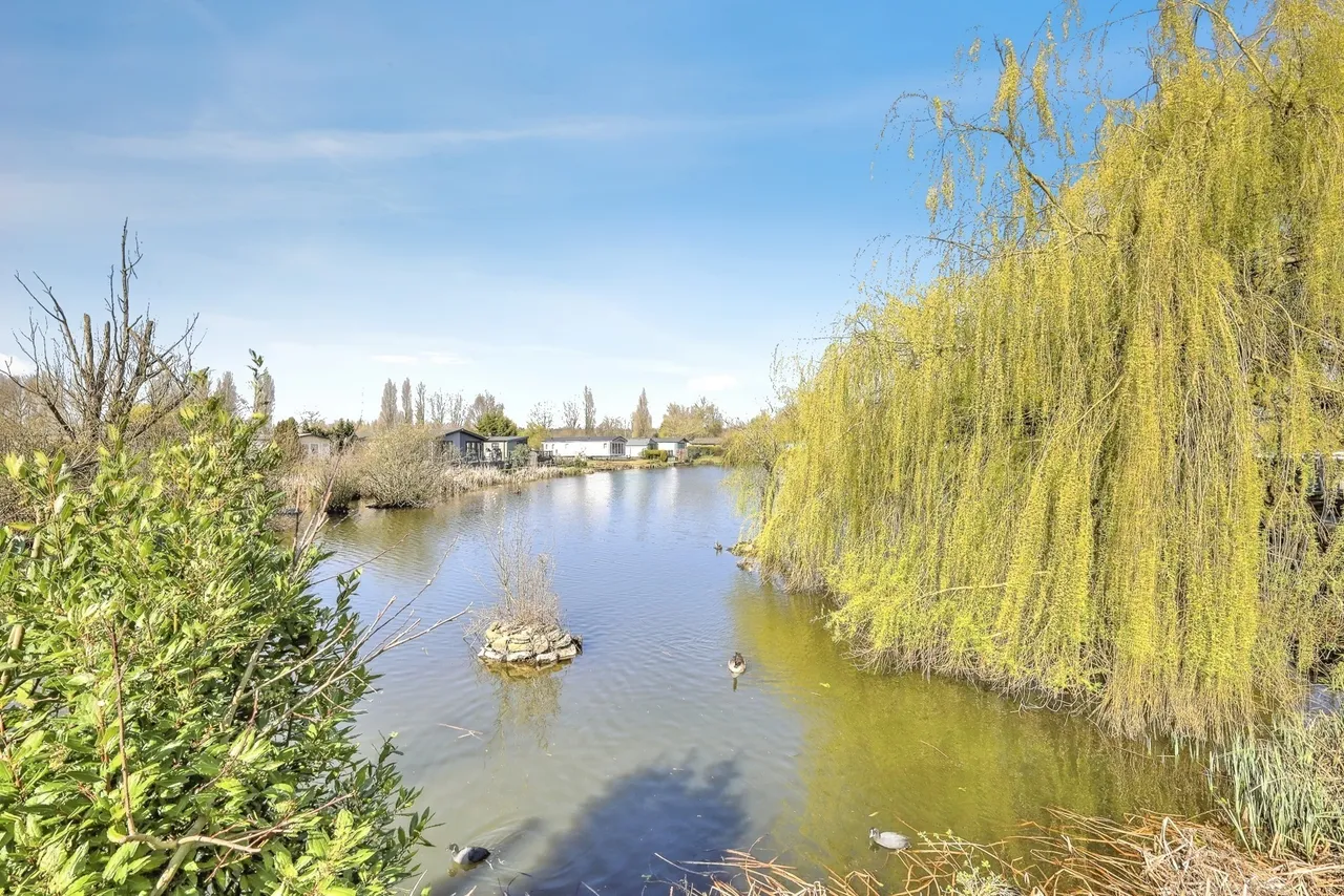 Goose Island, Billing Aquadrome, Northampton, Northamptonshire, NN3, photo 17