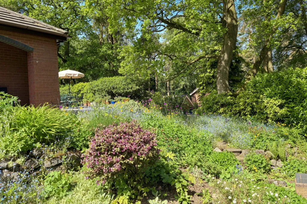 Pinewood Road, Ashley Heath, photo 27