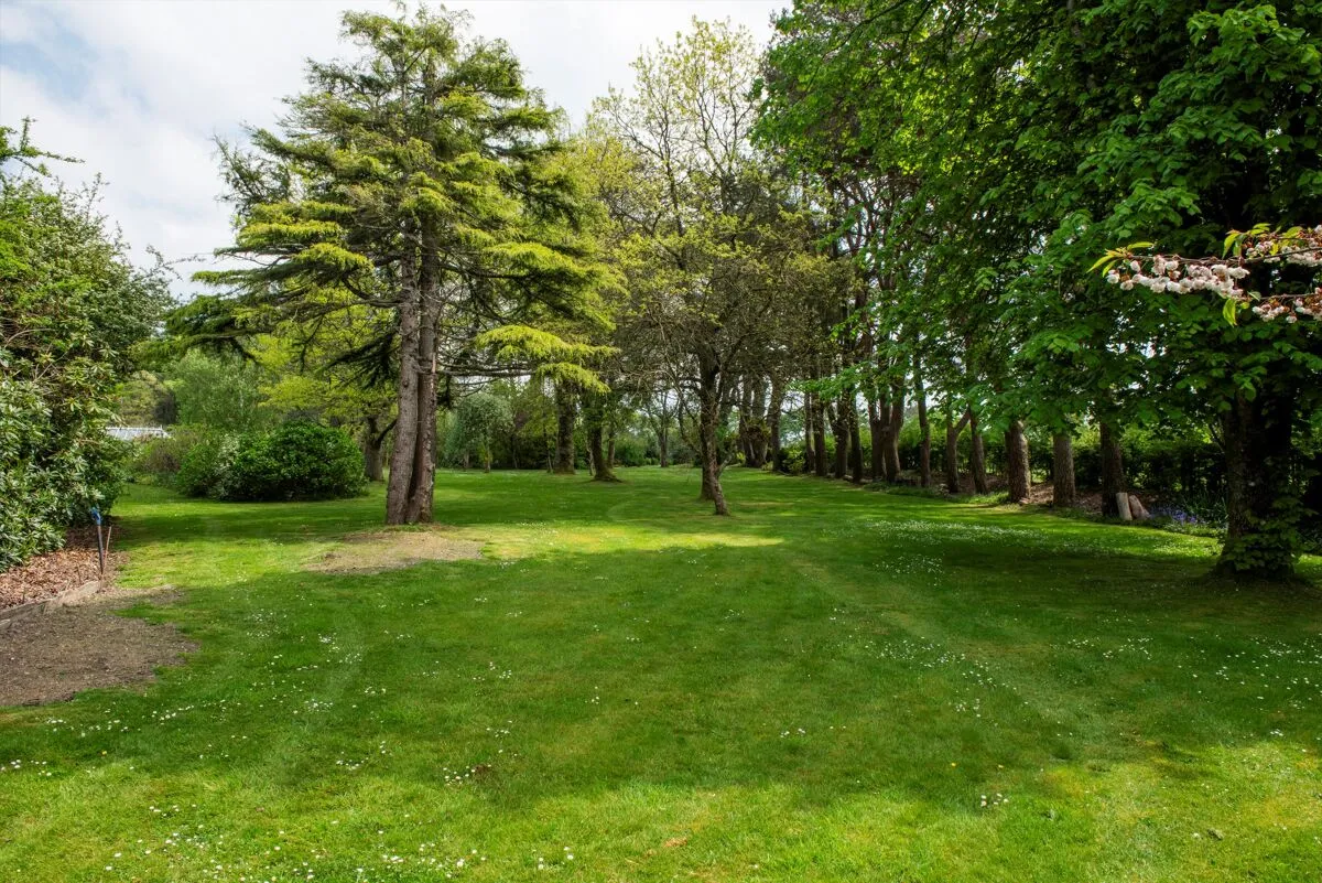 Near Lyme regis, Axminster, EX13, photo 21