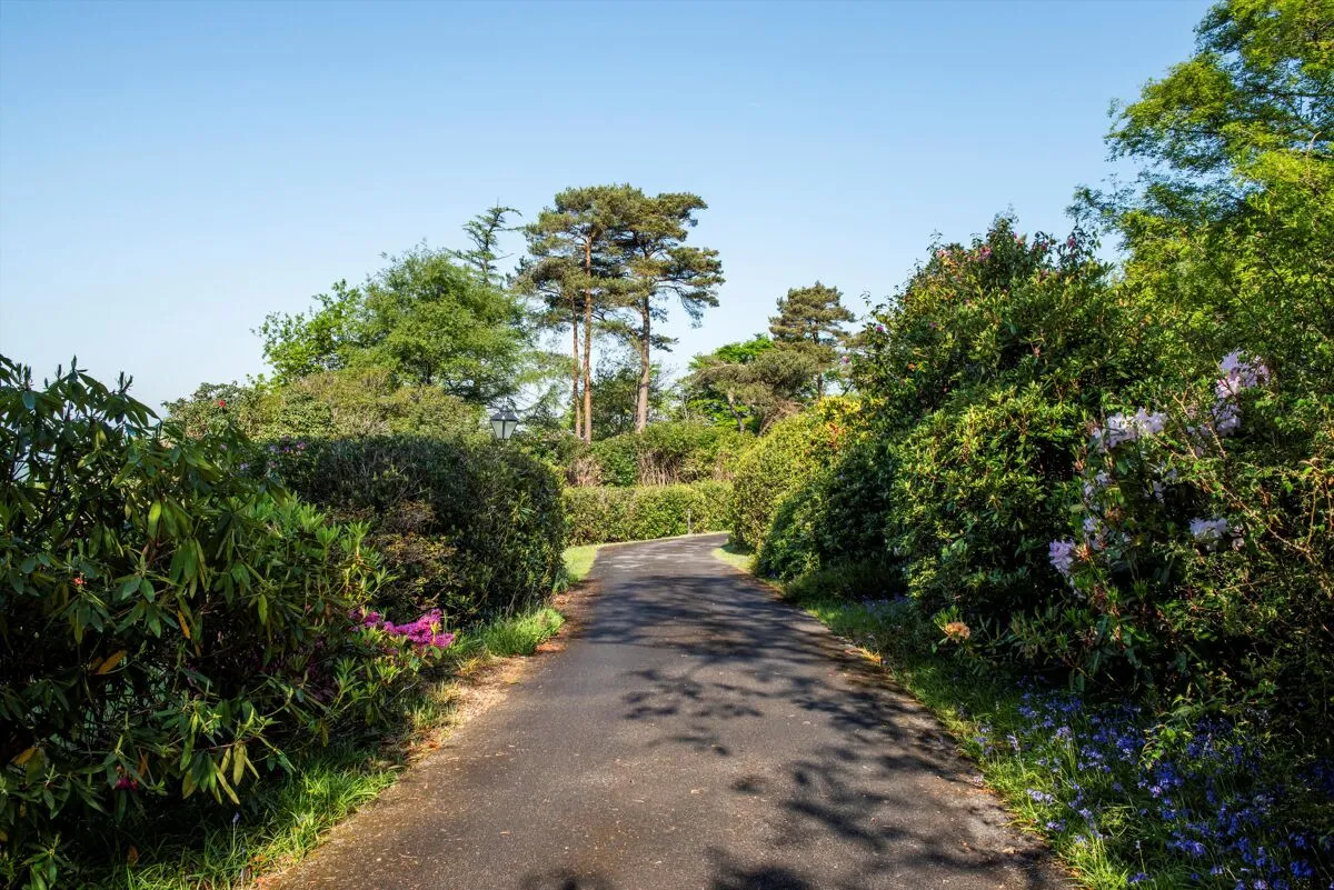 Near Lyme regis, Axminster, EX13, photo 16