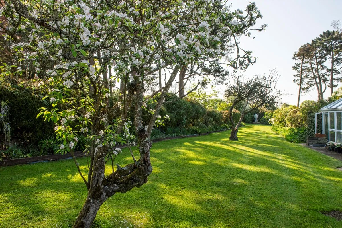 Near Lyme regis, Axminster, EX13, photo 23