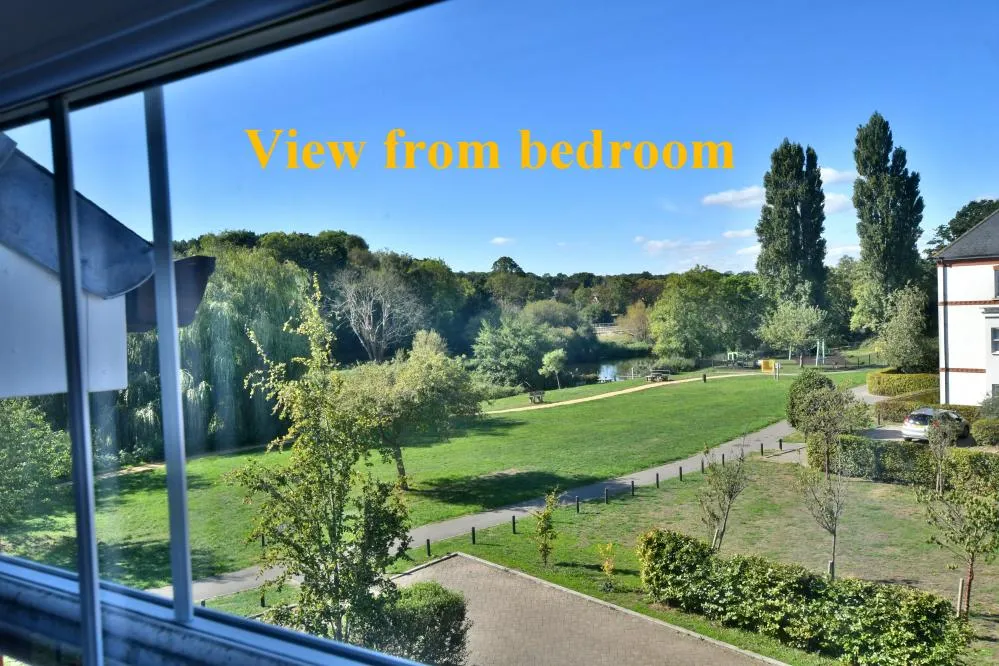 Griffin Close, Wimborne, BH21, photo 25