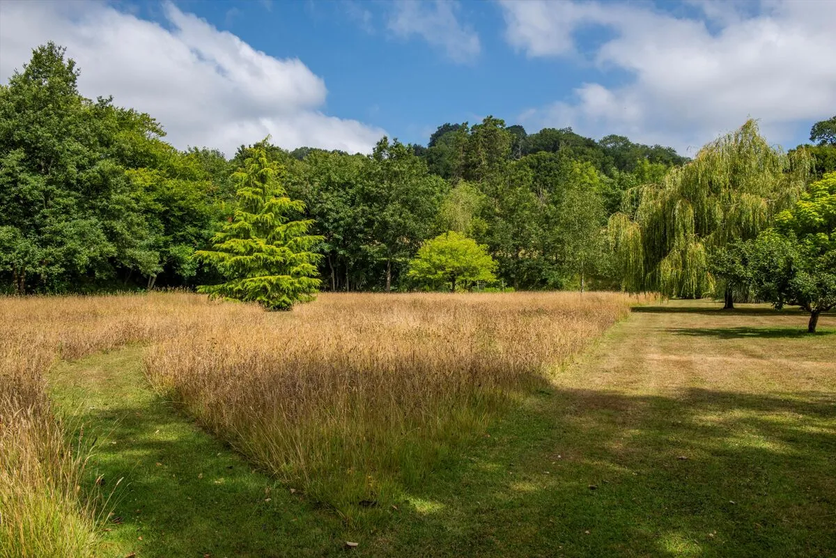 Farway, Colyton, EX24, photo 29
