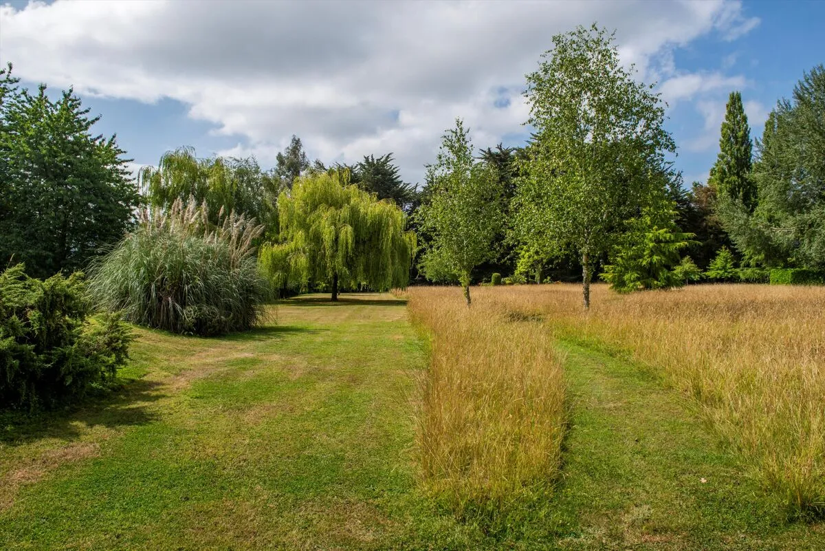 Farway, Colyton, EX24, photo 31