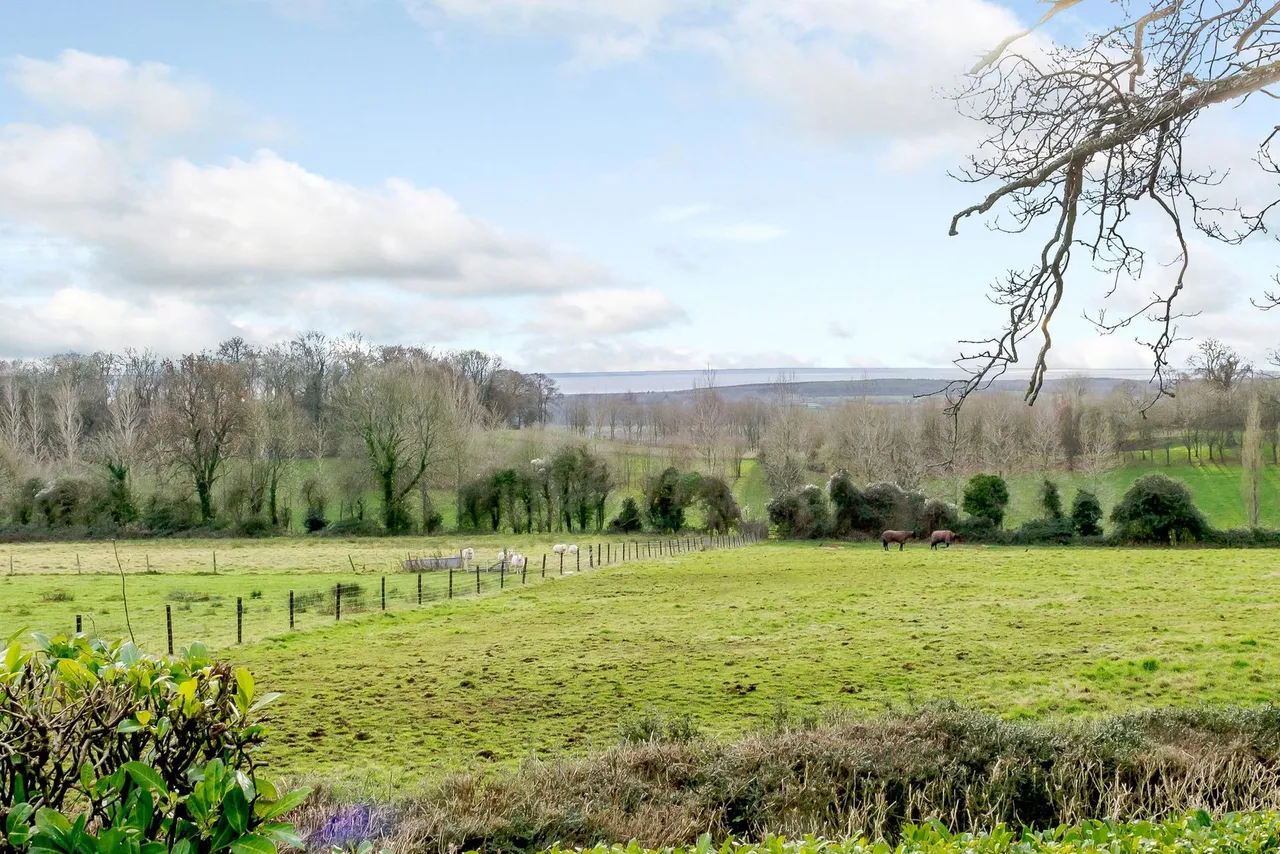 Shirenewton, Chepstow, NP16, photo 43