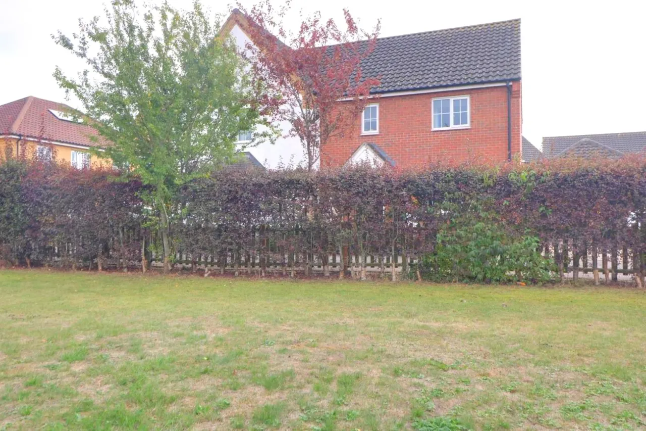 Robin Avenue, Harleston, photo 25